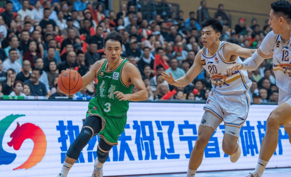 王岚嵚, 以辽宁队现