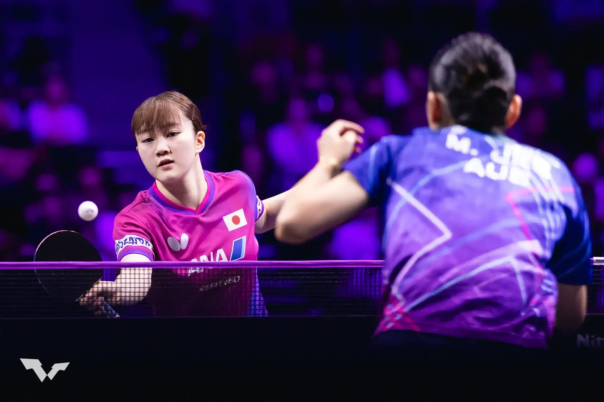 王楚钦战胜, 就增加旋转, amp